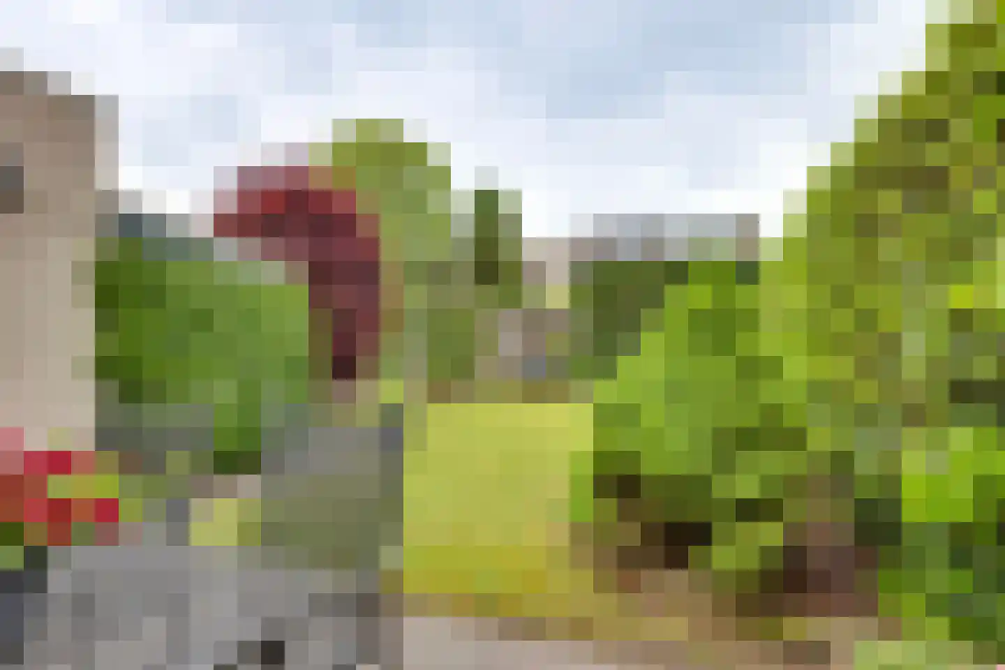 Kieftenbelt 22 Holten thumbnail 31