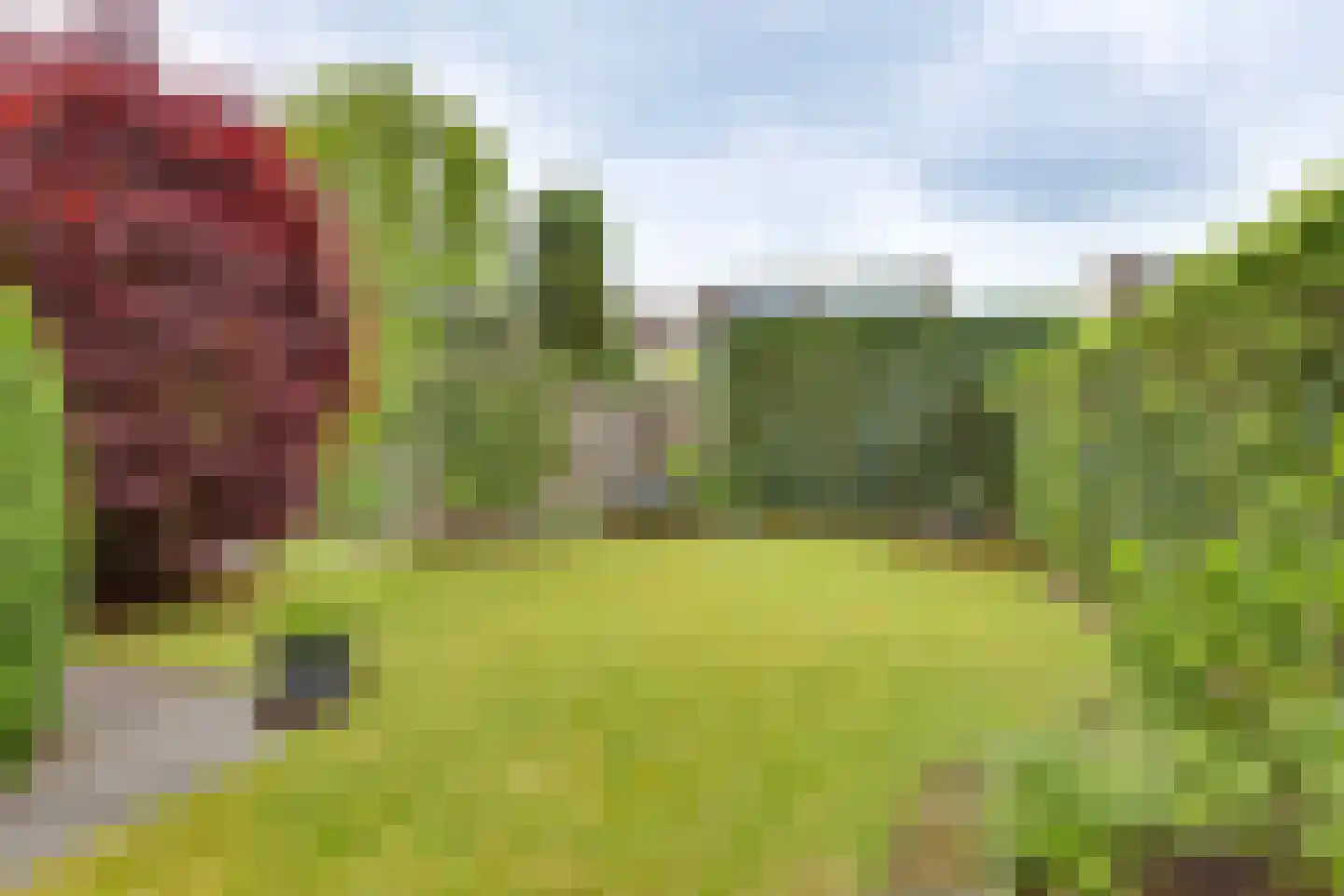 Kieftenbelt 22 Holten thumbnail 32