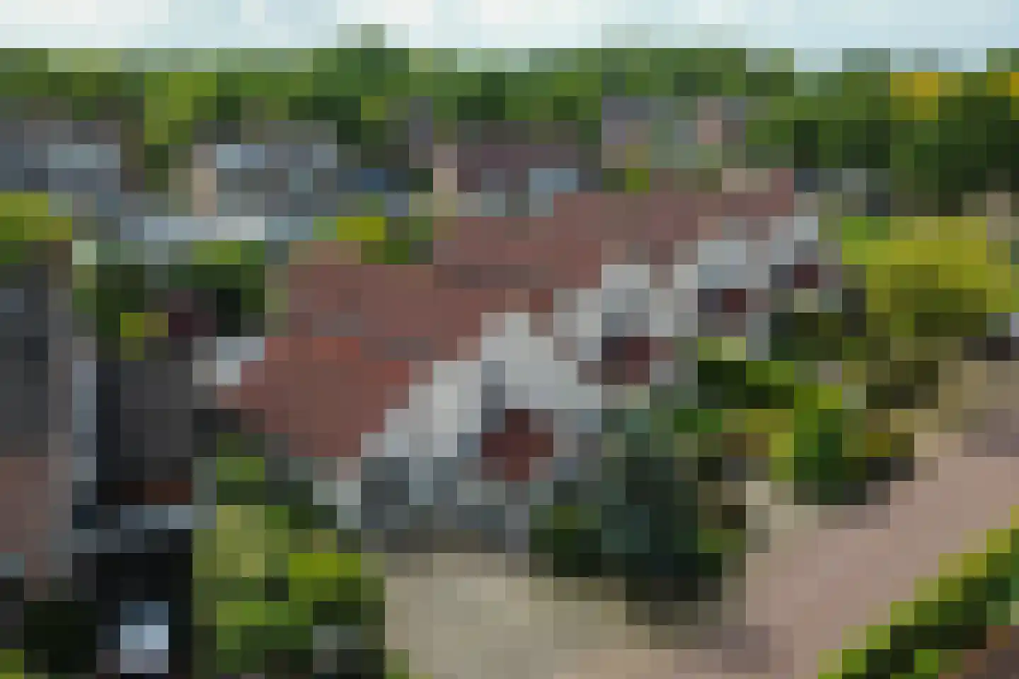 Kieftenbelt 22 Holten thumbnail 43