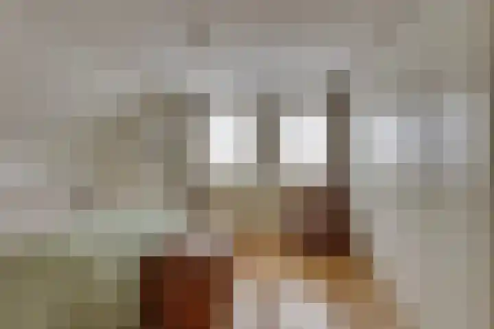 Kieftenbelt 24 Holten thumbnail 21