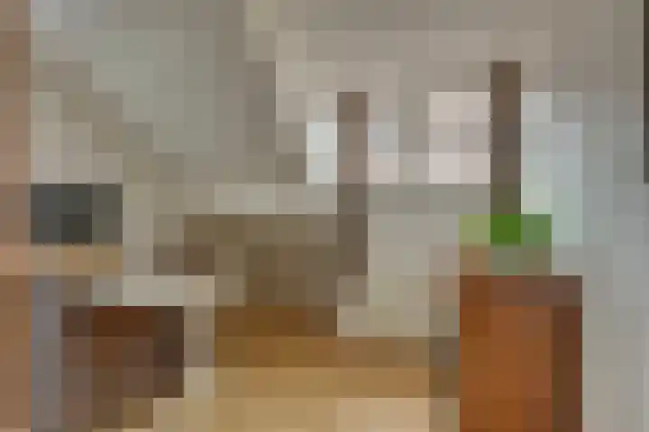 Kieftenbelt 24 Holten thumbnail 23