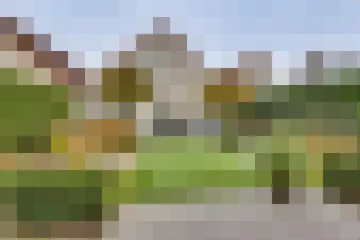 Kieftenbelt 24 Holten thumbnail 33