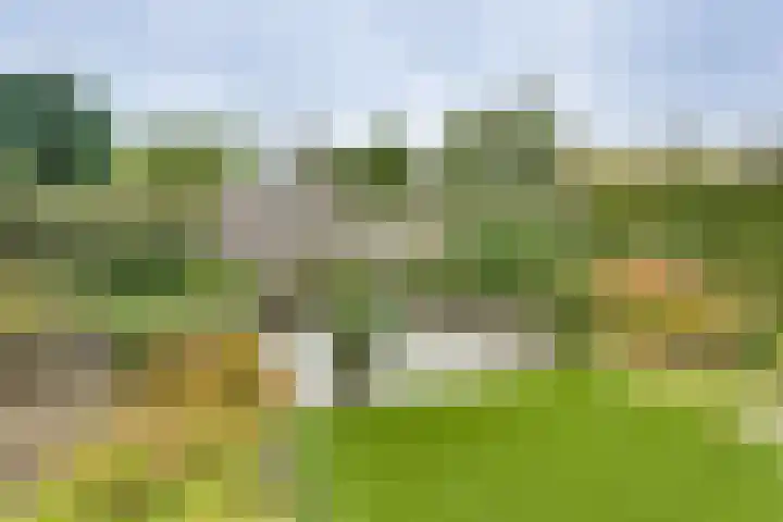 Kieftenbelt 24 Holten thumbnail 36