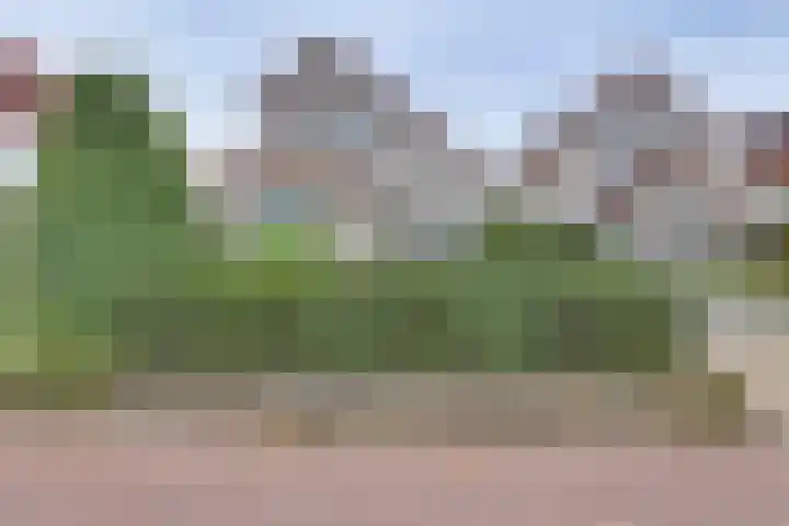 Kieftenbelt 24 Holten thumbnail 39