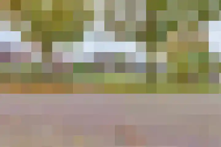 Kieftenbelt 24 Holten thumbnail 42