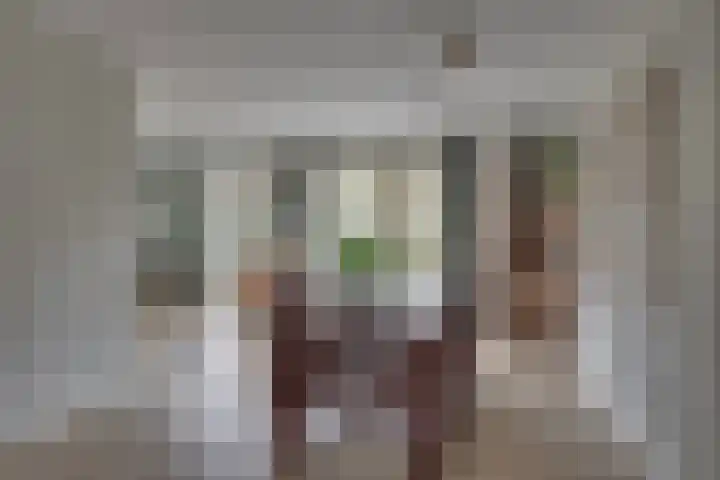 Kieftenbelt 24 Holten thumbnail 8