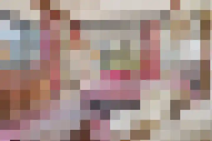 Kieftendijk 15 b Neede thumbnail 20