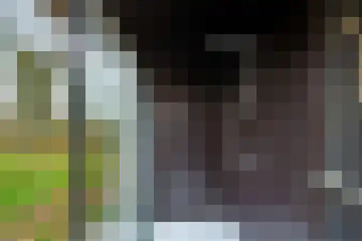 Kieftendijk 15 b Neede thumbnail 24