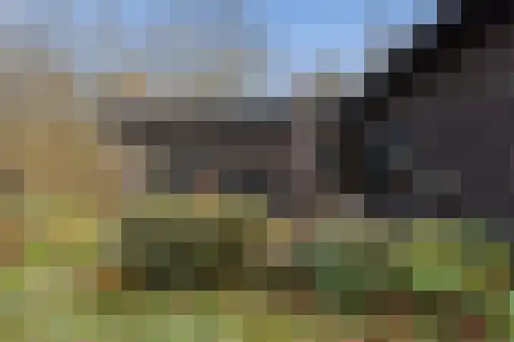 Kieftendijk 15 b Neede thumbnail 28