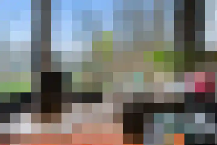 Kieftendijk 15 b Neede thumbnail 29