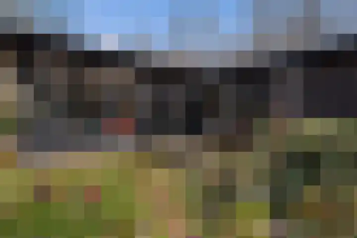 Kieftendijk 15 b Neede thumbnail 30