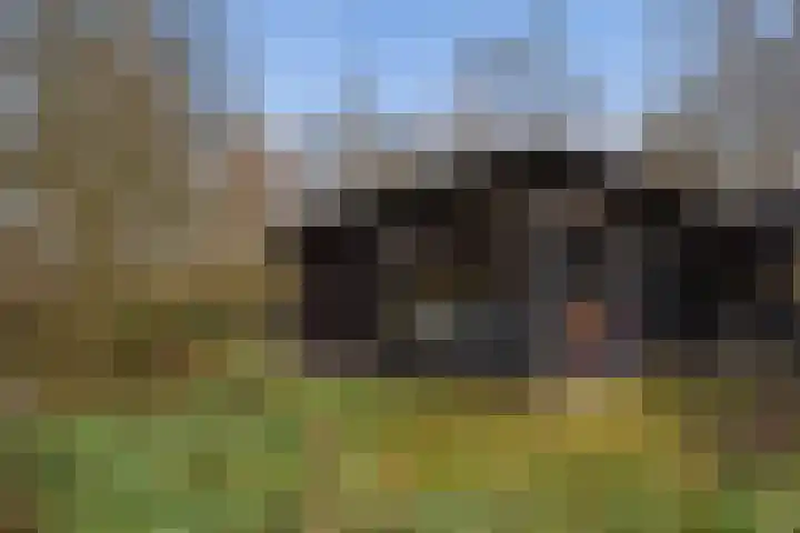 Kieftendijk 15 b Neede thumbnail 32