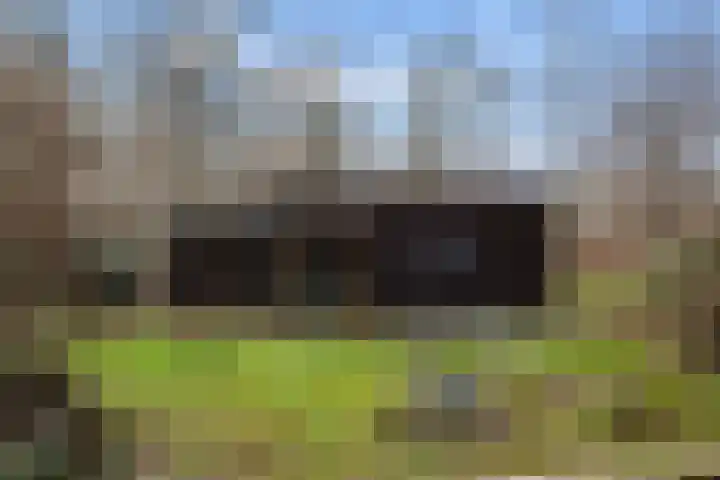 Kieftendijk 15 b Neede thumbnail 35