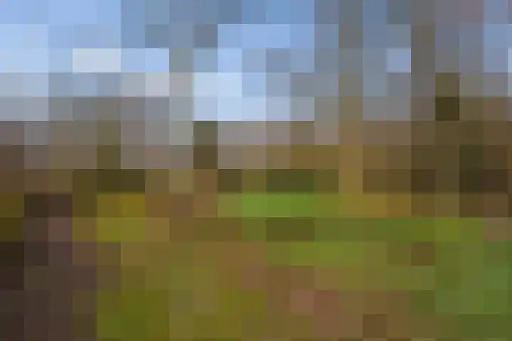 Kieftendijk 15 b Neede thumbnail 36