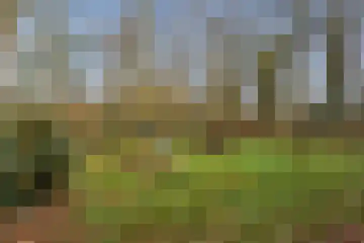 Kieftendijk 15 b Neede thumbnail 37