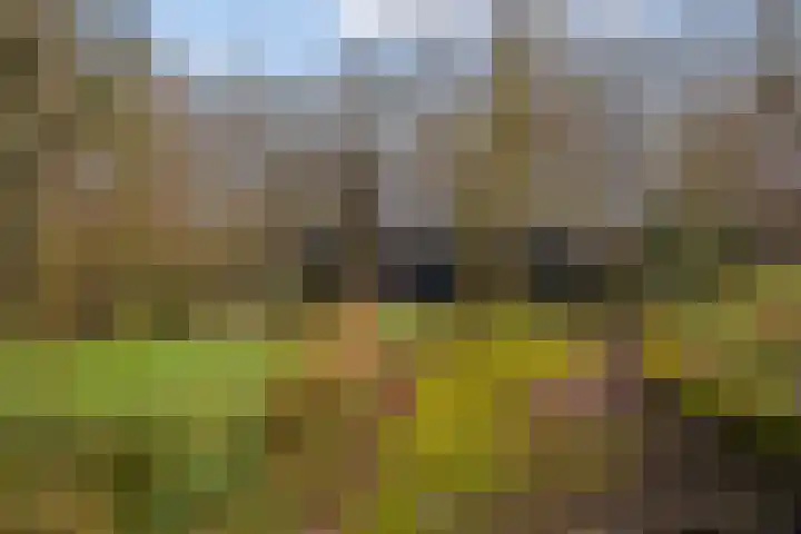 Kieftendijk 15 b Neede thumbnail 38