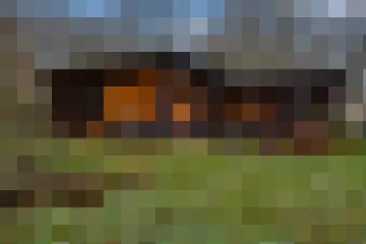 Kieftendijk 15 b Neede thumbnail 4