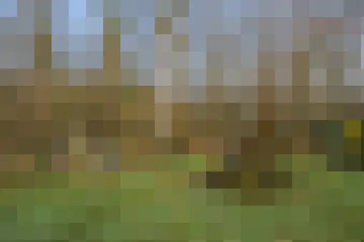 Kieftendijk 15 b Neede thumbnail 40