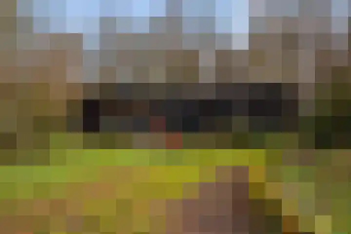 Kieftendijk 15 b Neede thumbnail 41