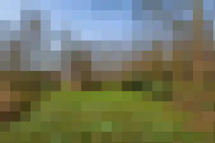 Kieftendijk 15 b Neede thumbnail 42