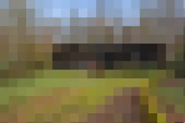 Kieftendijk 15 b Neede thumbnail 44