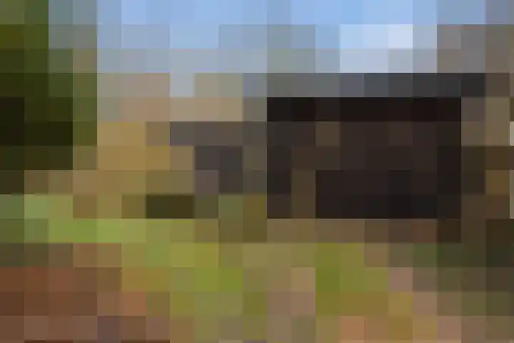Kieftendijk 15 b Neede thumbnail 45