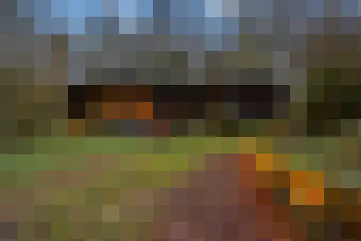 Kieftendijk 15 b Neede thumbnail 46