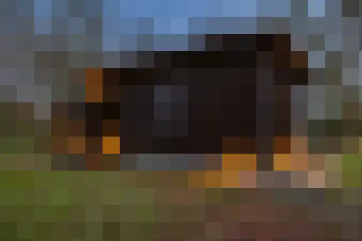 Kieftendijk 15 b Neede thumbnail 49