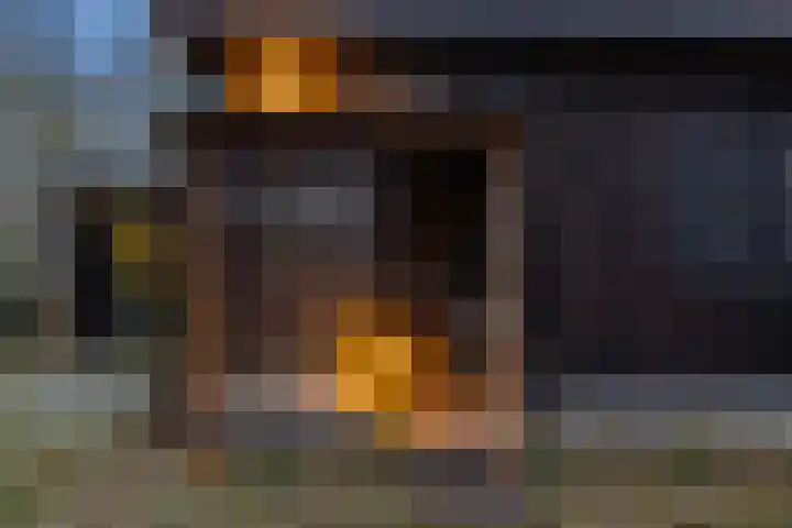 Kieftendijk 15 b Neede thumbnail 50
