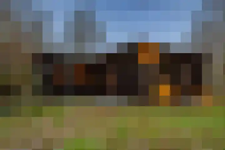 Kieftendijk 15 b Neede thumbnail 51