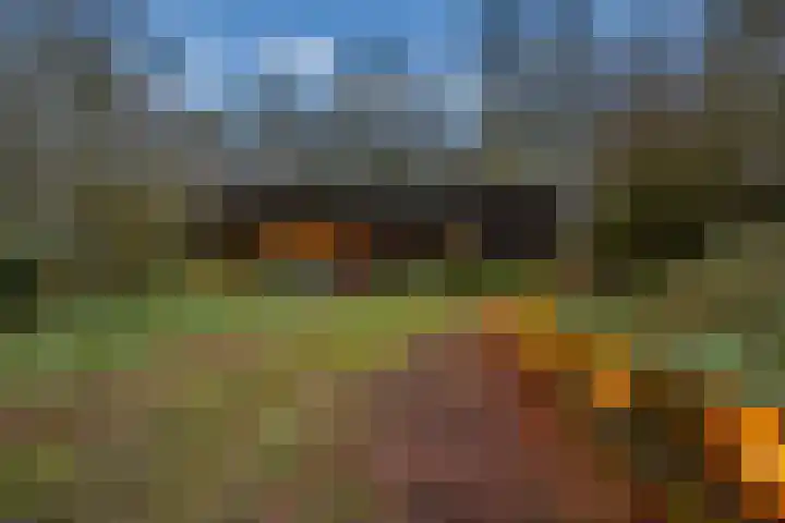 Kieftendijk 15 b Neede thumbnail 52