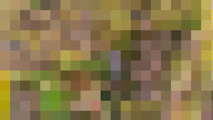 Kieftendijk 15 b Neede thumbnail 53