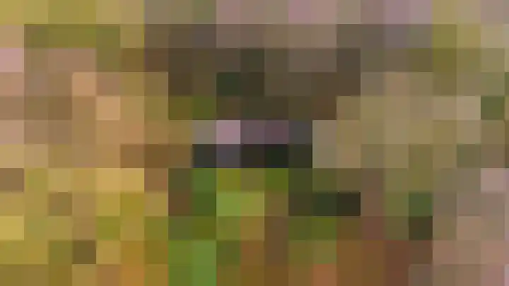 Kieftendijk 15 b Neede thumbnail 54