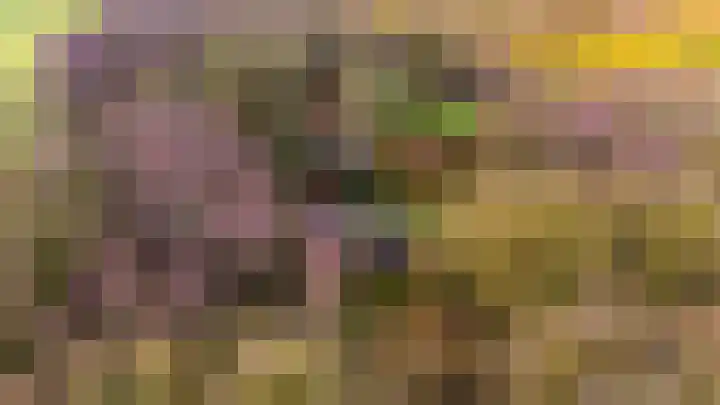 Kieftendijk 15 b Neede thumbnail 55