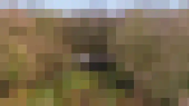 Kieftendijk 15 b Neede thumbnail 56