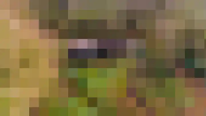 Kieftendijk 15 b Neede thumbnail 57