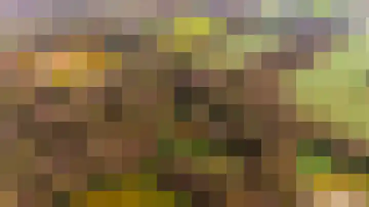 Kieftendijk 15 b Neede thumbnail 58