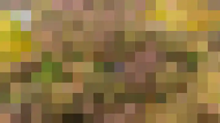Kieftendijk 15 b Neede thumbnail 59