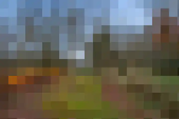 Kieftendijk 15 b Neede thumbnail 60