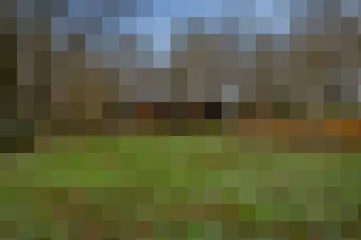 Kieftendijk 15 b Neede thumbnail 61