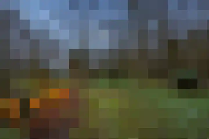 Kieftendijk 15 b Neede thumbnail 62