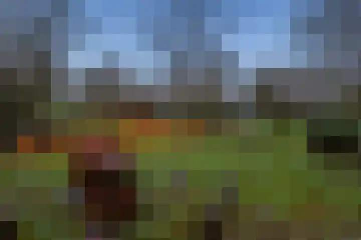 Kieftendijk 15 b Neede thumbnail 63