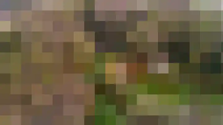 Kieftendijk 15 b Neede thumbnail 65