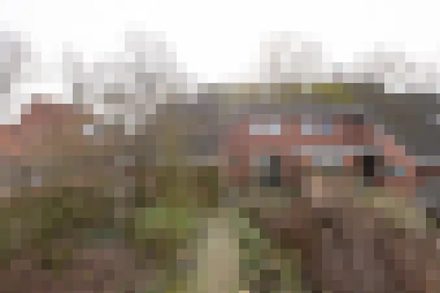 Kieftendijk 89 a Rietmolen thumbnail 27