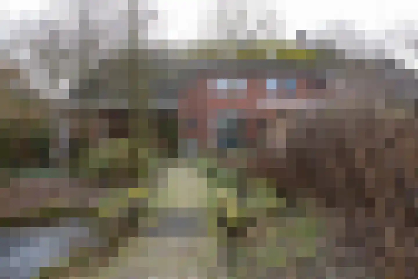 Kieftendijk 89 a Rietmolen thumbnail 28