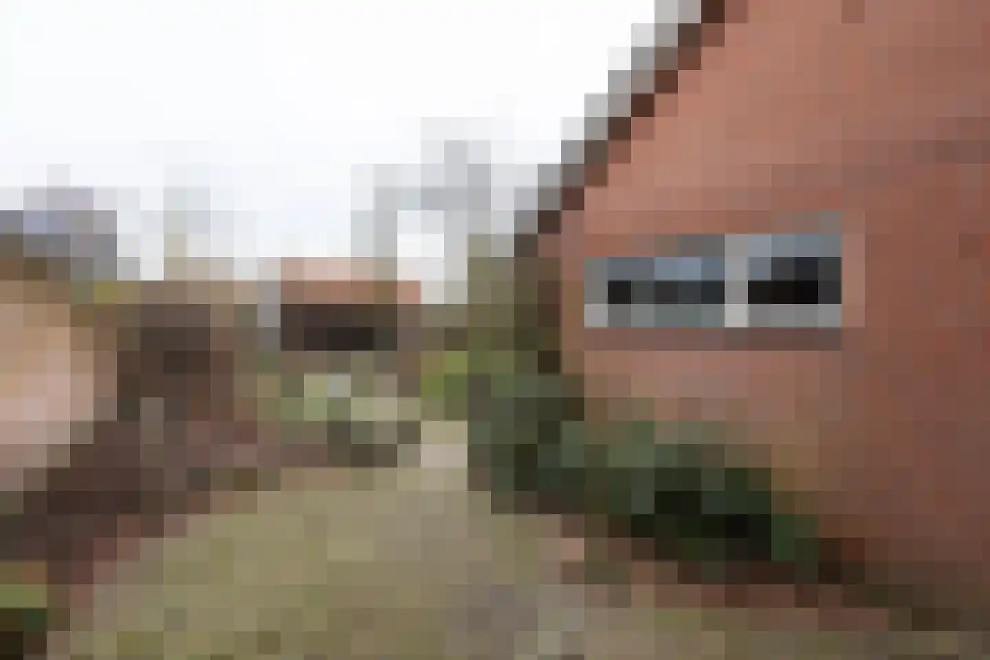 Kieftendijk 89 a Rietmolen thumbnail 31
