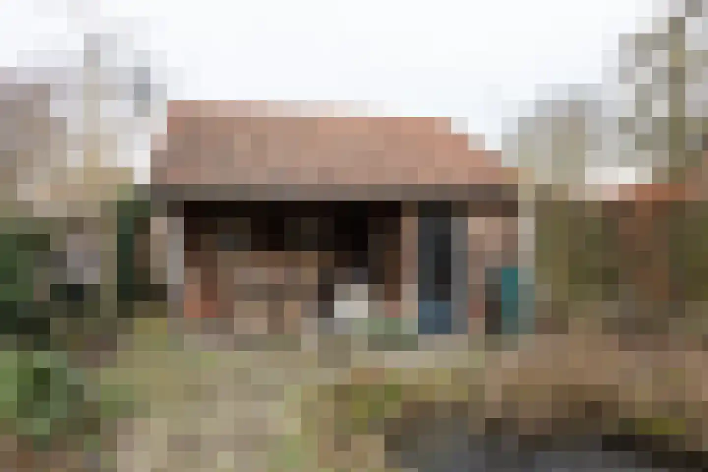 Kieftendijk 89 a Rietmolen thumbnail 32