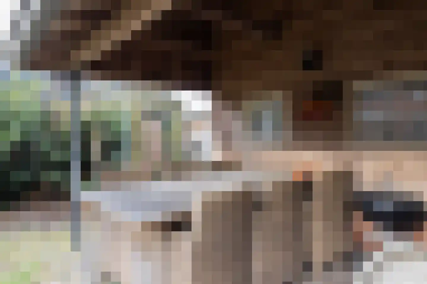 Kieftendijk 89 a Rietmolen thumbnail 34