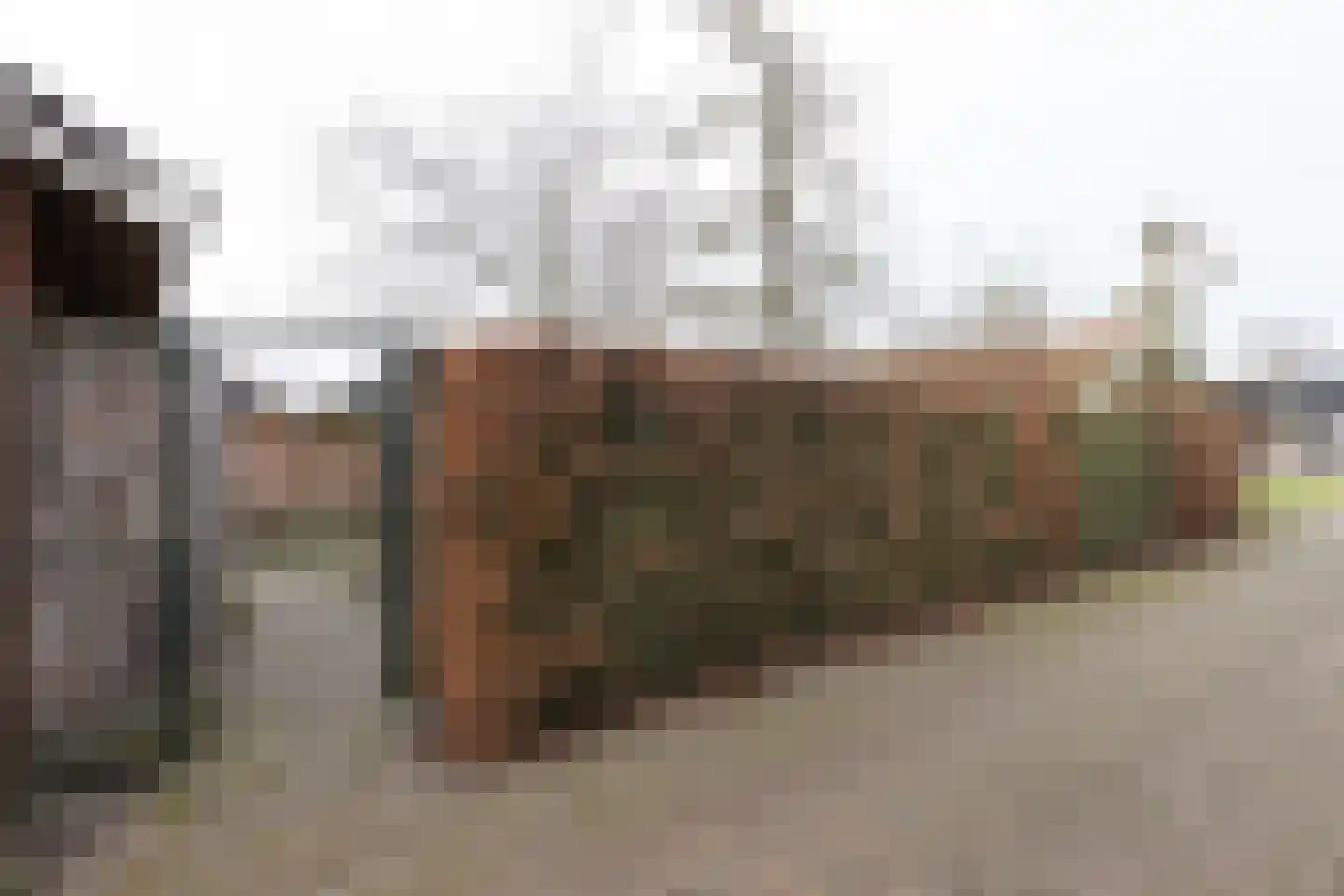 Kieftendijk 89 a Rietmolen thumbnail 35