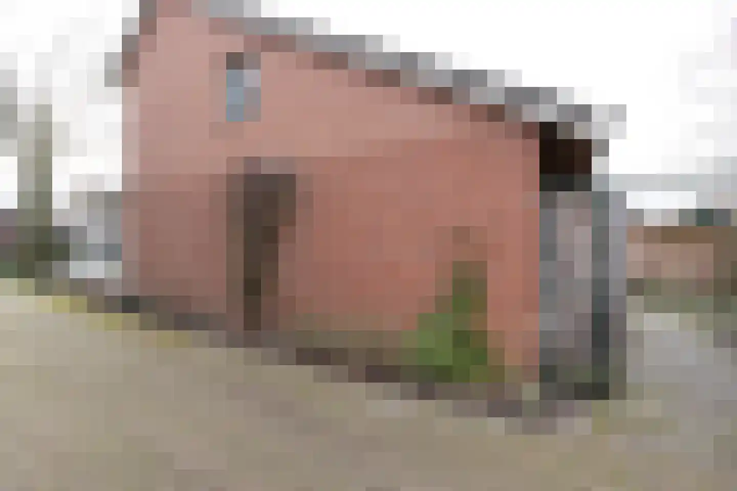 Kieftendijk 89 a Rietmolen thumbnail 36